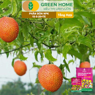 Phân NPK 15-5-20 Greenhome, Minro, Bao 1Kg, Kích Ra Hoa, Tăng Đậu Trái Trên Kiểng, Cây Ăn Trái, Củ