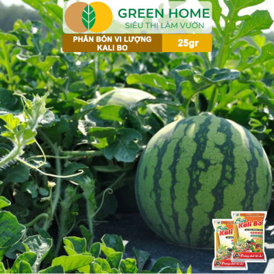 Phân Bón Kali Bo Greenhome, Gói 25g, Kích Thích Ra Hoa, Giảm Rụng Trại Non, Nuôi Quả To, Chắc Ruột, Tăng Độ Ngọt