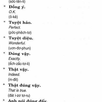 Căn Bản Đàm Thoại Tiếng Anh (Dành Cho Tài Xế Taxi, Cyclo, Honda Ôm) (Tái Bản)