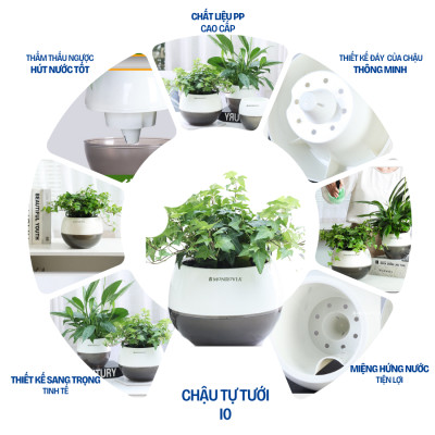 Chậu tự tưới để bàn I0 Monrovia, dáng chậu tròn, chất liệu nhựa PP, màu sắc sang trọng