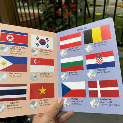 (Bìa cứng – in màu) 100 TỪ MỚI VỀ CỜ CÁC NƯỚC – Hoàng Tú biên soạn - Vizibook