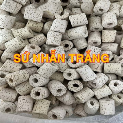 Combo 400g Vật Liệu Lọc Hồ Cá: Than Hoạt Tính Sứ Trắng - San Hô - Nham Thạch