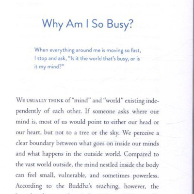 The Things You Can See Only When You Slow Down: How To Be Calm In A Busy World