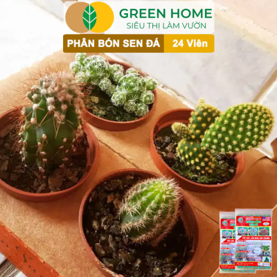 Phân Bón Sen Đá Greenhome, Gói 24 Viên, Kích Rễ, Lên Màu Chuẩn, Dùng Cho Cây Mọng Nước, Xương Rồng