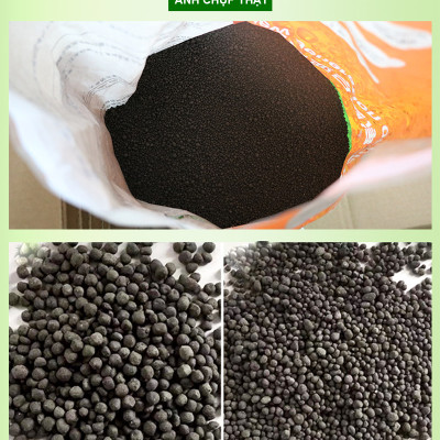 San Hô Vụn túi 1KG + Phân nền thủy sinh DIAMAX AQUA 2KG giàu dinh dưỡng, trang trí bể cá, hồ cá