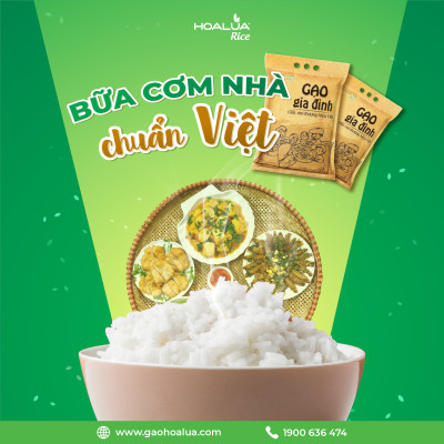 Gạo Gia Đình - Túi 5kg - Dẻo Vừa, Tơi Cơm, Thơm Nhẹ