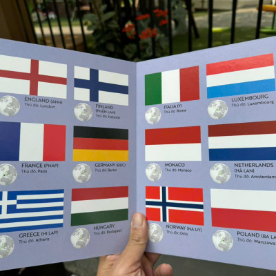 (Bìa cứng – in màu) 100 TỪ MỚI VỀ CỜ CÁC NƯỚC – Hoàng Tú biên soạn - Vizibook