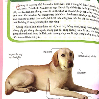 Bách Khoa Động Vật Dành Cho Trẻ Nhỏ - Thú Cưng