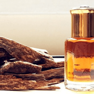 Tinh dầu Trầm Hương 50ml nguyên chất từ thiên nhiên, xông phòng, khử mùi, thơm phòng, đuổi muỗi - KingOil