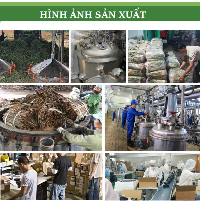 Tinh dầu Trái Chanh tươi nguyên chất từ thiên nhiên, xông phòng, khử mùi, thơm phòng, đuổi muỗi, thư giản - KingOil