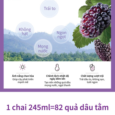 Nước Ép Dâu tằm nguyên chất 100%, Khg đường,Không chất bảo quản,chai 245ML Dùng trực tiếp ( 2chai)