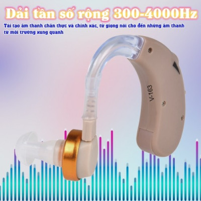 Máy trợ thính cho người già, người lớn tuổi AXON V-163 - Kèm hợp đựng máy