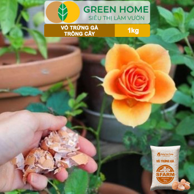 Vỏ Trứng Gà Trồng Cây Greenhome, Sfarm, Bao 1kg, Phân Bón Hữu Cơ, Ngăn Chặn Ốc Sên, Cải Tạo Đất, Chống Côn Trùng, Sâu Bọ