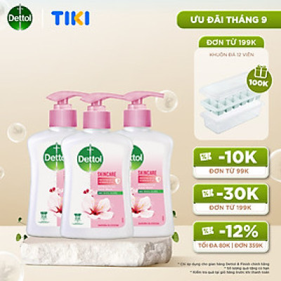 Combo 3 chai nước rửa tay Dettol kháng khuẩn dưỡng da - Chai 250g