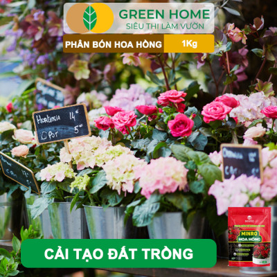 Phân Bón Hoa Hồng GreenHome, Minro, Bao 1kg, Hữu Cơ, Bung Chồi, Mượt Lá, Hoa Nhiều, Bền Hoa