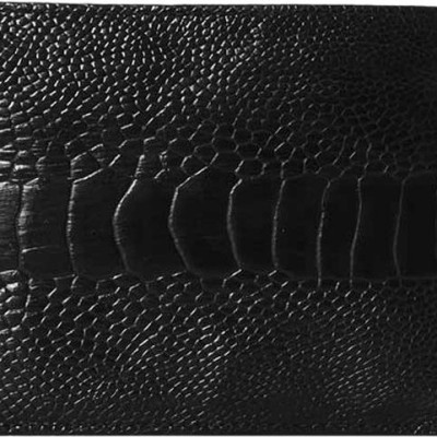 Ví Nam Huy Hoàng HT2402 (10 x 12.5 cm) - Đen