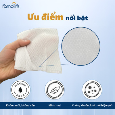 [MUA 8 TẶNG 1] COMBO 2 Khăn ướt Famolife 100 tờ không mùi mềm mịn, dưỡng ẩm vệ sinh cho người lớn