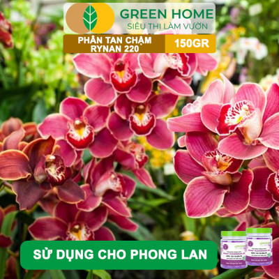 Phân Tan Chậm Greenhome, Rynan 220, Hũ 150gr, Dùng Cho Phong Lan Ra Hoa, Giúp Hoa Bền Màu, Cánh Dày, To, Thơm Lâu
