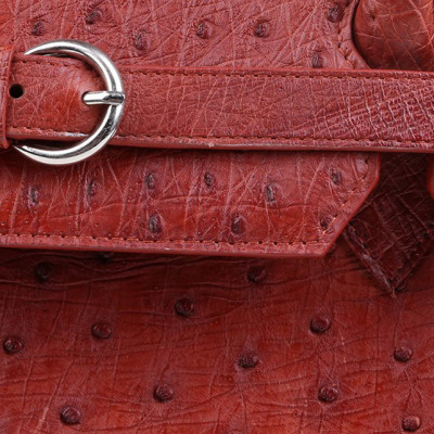 Túi Xách Da Đà Điểu Huy Hoàng HT6402 (32 x 25 cm) - Nâu Đỏ