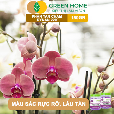 Phân Tan Chậm Greenhome, Rynan 220, Hũ 150gr, Dùng Cho Phong Lan Ra Hoa, Giúp Hoa Bền Màu, Cánh Dày, To, Thơm Lâu