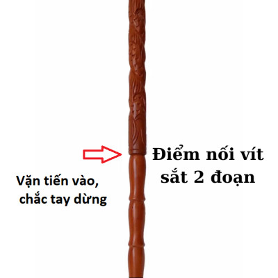 Cây Batoong Bỗ Chống Trơn Trượt Cho Người Cao Tuổi