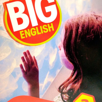 Big English AmE 2Ed Level 3 Value Pack (SB + WB)