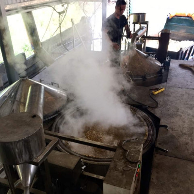 Tinh dầu Bưởi Da Xanh nguyên chất từ vỏ bưởi thiên nhiên, xông phòng, khử mùi, thơm phòng, đuổi muỗi - KingOil