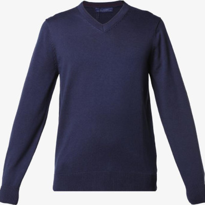 Áo len dài tay Aligro ALEND047