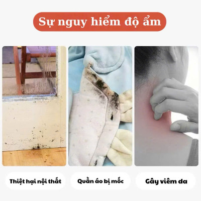 Hộp Hút Ẩm Than Hoạt Tính Chống Ẩm Mốc - Sản Phẩm Hút Ẩm Phòng, Tủ Quần Áo, Giày Dép - HÀNG CHÍNH HÃNG MINIIN