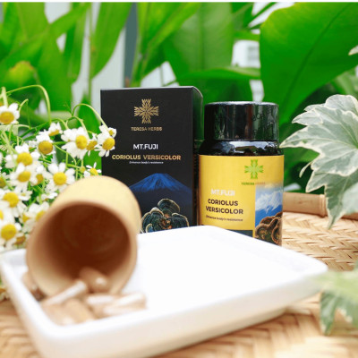 Viên Nấm Vân Chi núi Phú Sĩ TERESA HERBS hỗ trợ tăng cường đề kháng và hệ miễn dịch (Lọ 60 viên)