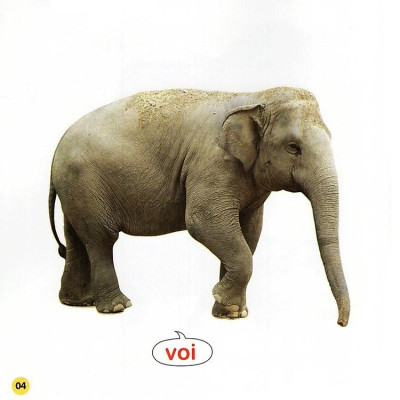 100 Từ Đầu Đời Của Bé