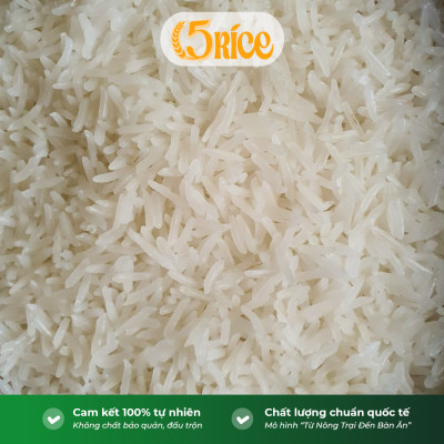 Gạo Lúa Tôm ST25 5RICE - Túi 3kg - Gạo thượng hạng thơm dẻo, đậm vị chính hãng 5RICE