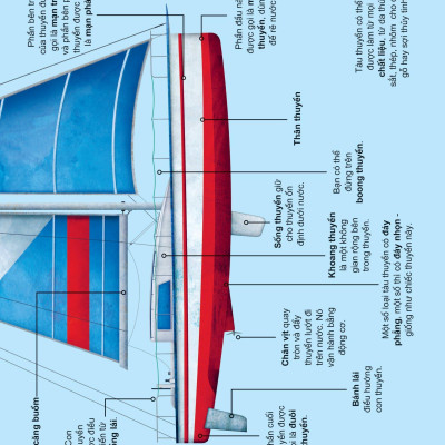 Khám Phá Các Phương Tiện Vận Chuyển Trên Thế Giới - Tàu Thuyền Và Những Phương Tiện Nổi Khác