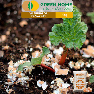 Vỏ Trứng Gà Trồng Cây Greenhome, Sfarm, Bao 1kg, Phân Bón Hữu Cơ, Ngăn Chặn Ốc Sên, Cải Tạo Đất, Chống Côn Trùng, Sâu Bọ