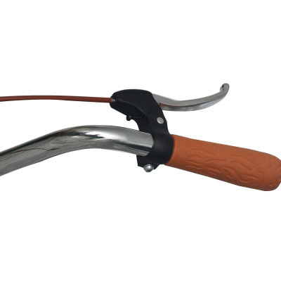 Xe Đạp Phổ Thông Nữ Fornix - ALS20 - Vòng Bánh 20" - Bảo Hành 12 Tháng