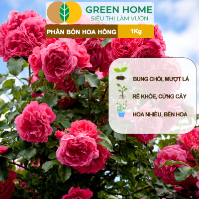 Phân Bón Hoa Hồng GreenHome, Minro, Bao 1kg, Hữu Cơ, Bung Chồi, Mượt Lá, Hoa Nhiều, Bền Hoa