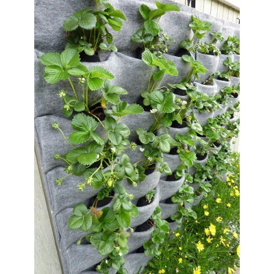 Túi Vải Treo Tường Trồng Cây 21 Ngăn Tiện Lợi