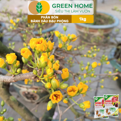 Bánh Dầu Đậu Phộng Greenhome, Bao 1kg, Phân Bón Hữu Cơ Hàm Lượng Đạm Cao, Chuyên Hoa, Rau, Củ, Quả, Kiểng