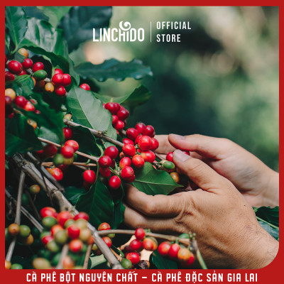 Cà Phê Bột Nguyên Chất - Cà Phê Đặc Sản Gia Lai - 500 gram