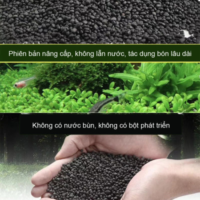 San Hô Vụn túi 1KG + Phân nền thủy sinh DIAMAX AQUA 2KG giàu dinh dưỡng, trang trí bể cá, hồ cá