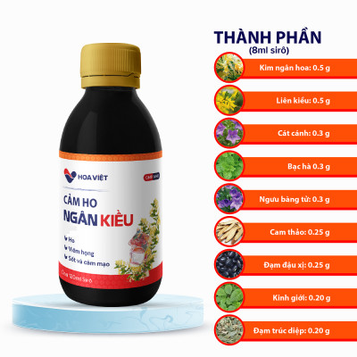 Siro ho thảo dược Ngân Kiều Hoa Việt tăng cường sức đề kháng, hỗ trợ giảm ho hiệu quả Chai 120ml