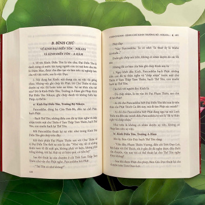 Sách - Pháp và nghĩa trong Đại Tạng Kinh