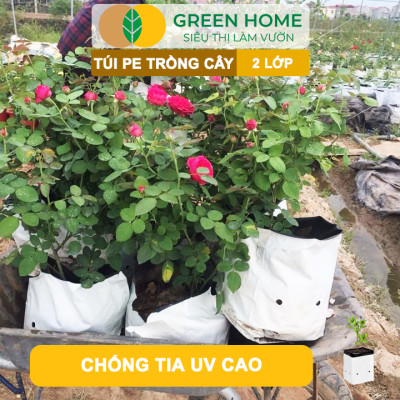 10 Túi Trồng Cây GreenHome, PE 2 Lớp, 17x33CM, Chống UV, Tiện Lợi, Độ Bền 1,5 Năm, Trồng Rau, Hoa