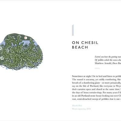 Book Of Pebbles The Perfect Seaside And Armchair Compan, The