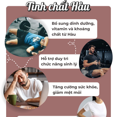 Viên Uống Tinh Chất Hàu Hỗ Trợ Tăng Cường Sinh Lý Nam Seedcoms Nhật Bản