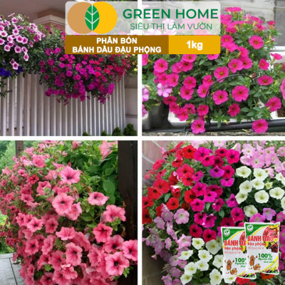 Bánh Dầu Đậu Phộng Greenhome, Bao 1kg, Phân Bón Hữu Cơ Hàm Lượng Đạm Cao, Chuyên Hoa, Rau, Củ, Quả, Kiểng