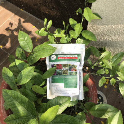 Phân bón Hữu Cơ Vi Sinh TP-E20 500 Gram - Sản xuất bằng hèm bia. Bổ sung dưỡng chất cho cây, Đáp ứng tiêu chí trồng rau sạch, Nuôi dưỡng cây trồng, Cải tạo đất, làm tơi xốp đất, Chống các loại bệnh thối rễ do nấm.