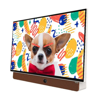 24P6300 - Google Tivi Xách Tay Di Động FHD 24 Inch Skyworth - Hàng Chính Hãng