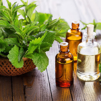 Tinh dầu Bạc Hà 50ml nguyên chất từ thiên nhiên, Thơm Phòng, Khử Mùi, Kháng Khuẩn, Đuổi Muỗi, Đuổi Chuột - KingOil