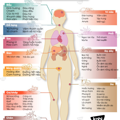 Tinh dầu Vani Kobi Vanilla essential oil giúp tăng chất lượng phòng the, hỗ trợ giải độc, chống trầm cảm hiệu quả -5ml